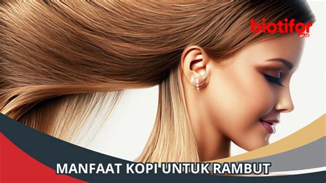 Manfaat Kopi Untuk Rambut Rahasia Kecantikan Tersembunyi Biotifor