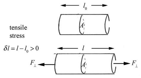 262 Tensión Y Deformación En Tensión Y Compresión Libretexts Español