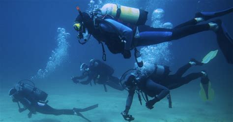 Dubai Padi Open Water Cursus Met Elearning Getyourguide