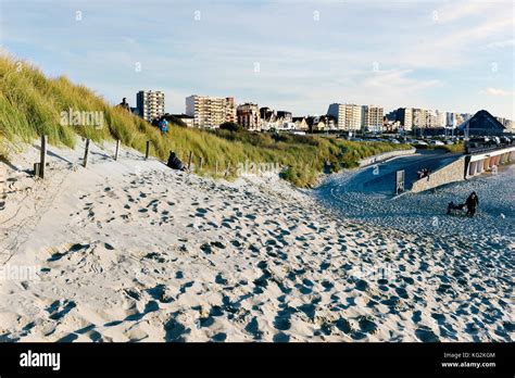 Sand Dunes At Le Touquet Paris Plage Pas De Calais Hauts De France