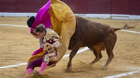 Muere El Carnicero De La Plaza De Murcia Al Ser Corneado Por Un Toro