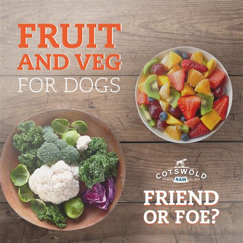 Should Dogs Eat Raw Vegetables