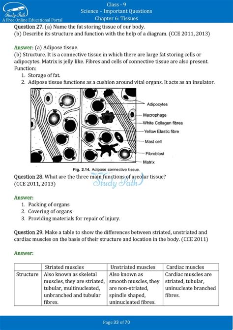 Question And Answer On The Tissue