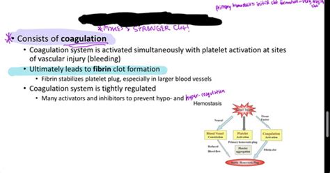 Platelets And Coagulation Ii Secondary Hemostasis Lecture 8 Exam 1