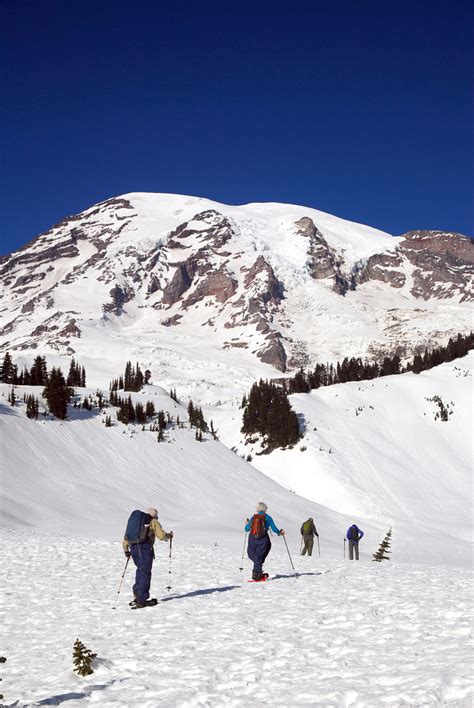 Winter in Mount Rainier National Park - Outdoor Project