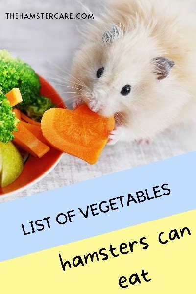 What Vegetables Can Hamsters Eat Healthy Food For Hamsters Artofit