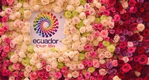 Flores Del Ecuador