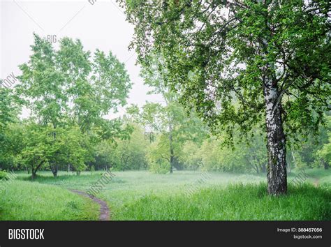 Scenic Landscape Nice Image & Photo (Free Trial) | Bigstock