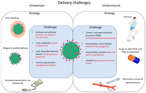 Oncolytic Virotherapy Treatment Of Breast Cancer Barriers And Recent Advances Abstract