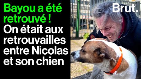 Jours Apr S Avoir T Vol Il Retrouve Son Chien L Incroyable