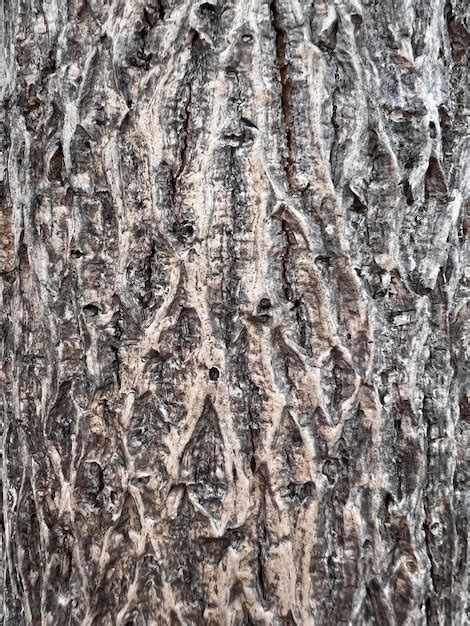 Seamless Bark Pattern Images Free Download On Freepik