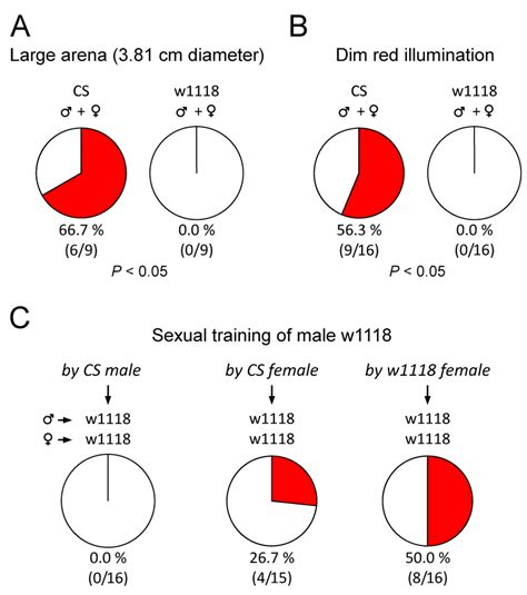 Male Female Sexual Experience Improved Mating Success In W1118 A Download Scientific Diagram