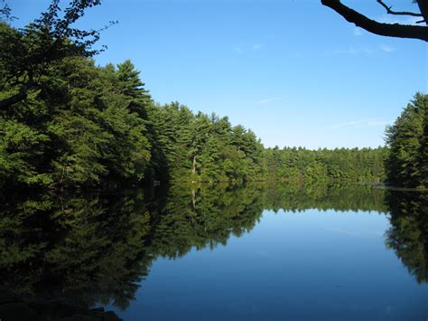 Wrentham State Forest, a Massachusetts forest located near Ashland, Attleboro and Bellingham