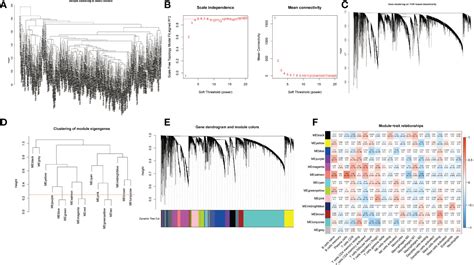 Frontiers | Immune microenvironment and clinical feature analyses based