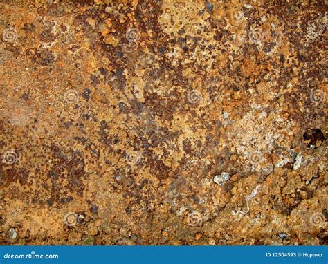 Metal Rusted Surface Stock Image Image Of Natural Background 12504593