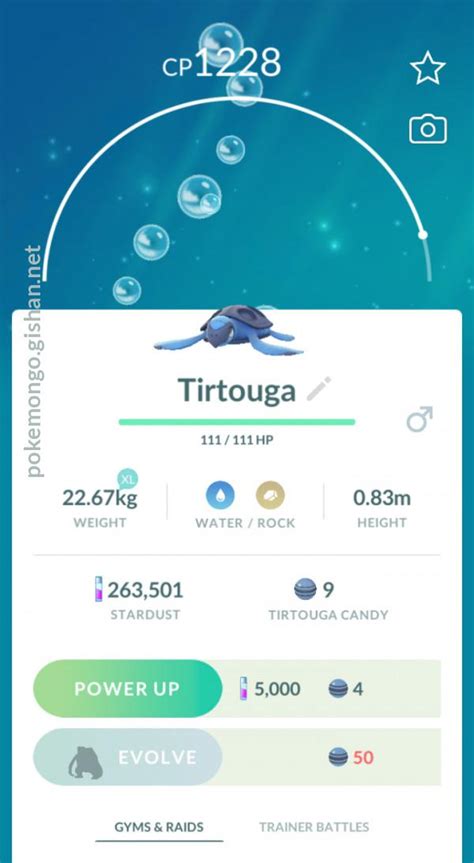 Tirtouga Pokemon Go