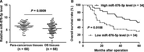 Microrna‐876‐5p Inhibits Cell Proliferation Migration And Invasion By