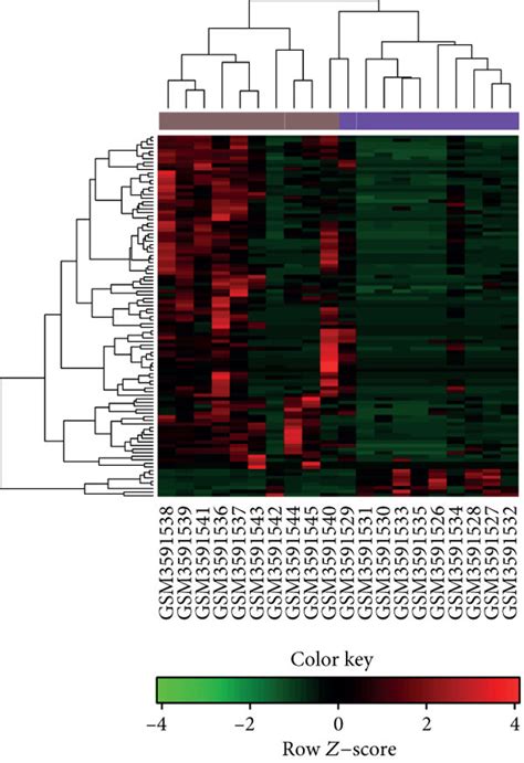 The Heat Maps Of The Differentially Expressed LncRNAs MiRNAs And