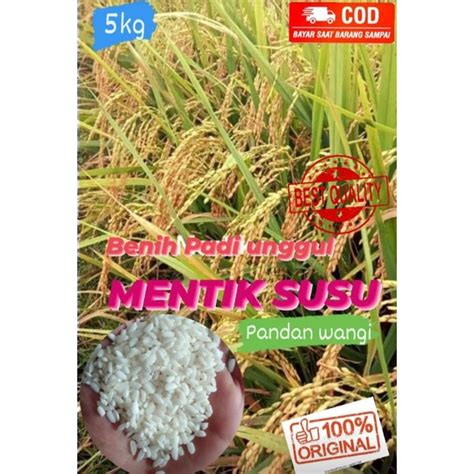 Jual Benih Padi Unggul Mentik Susu Pandan Wangi 5kg Shopee Indonesia