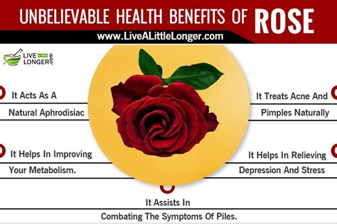 7 Unbelievable Health Benefits Of Rose