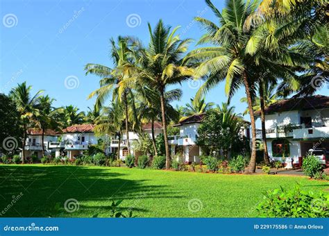 Betalbatim Village In South Goa India Stock Photo Image Of Beautiful