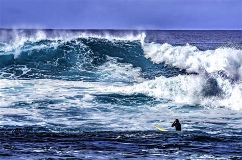 Surfer Looking Large Wave Waimea Bay North Shore Oahu Hawaii Stock