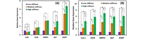 Relative Gene Expression Col I Ocn Dmp1 Alp And Dspp After Dpscs