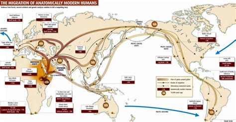 The First Human Immigrants - USA, Australia, Japan And More - About History