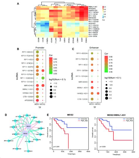 Identification Of Tf Lncrna Crosstalk Based On Motif Analysis A