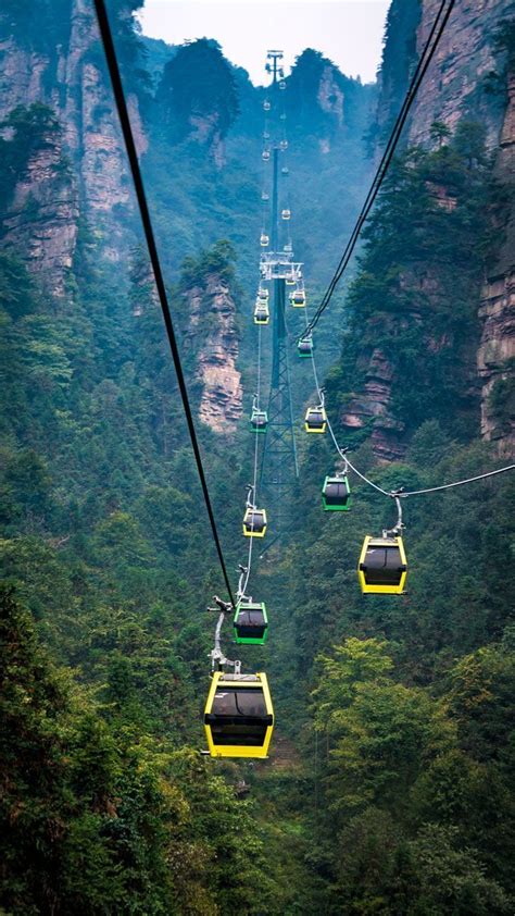 √ Zhangjiajie National Forest Park Tourism