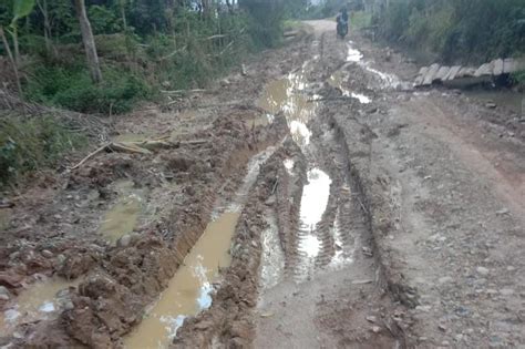 Jalan Penghubung Di Pedalaman Aceh Timur Rusak Parah