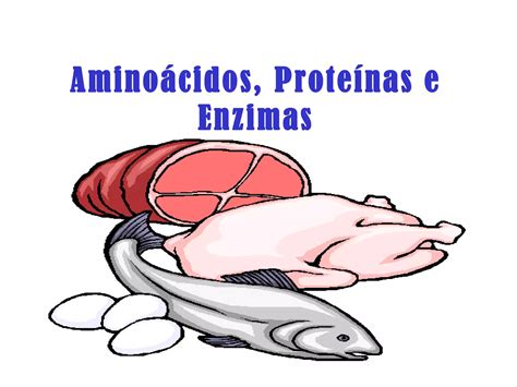 Proteínas e Enzimas PPT