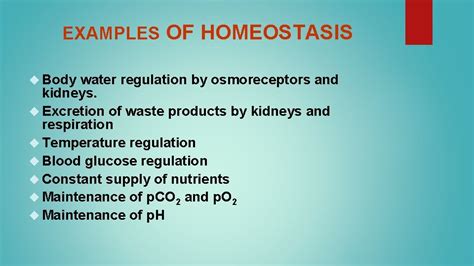 40+ Homeostasis Examples Pictures – Home