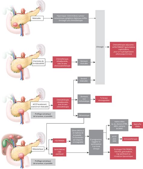 Figure From Avanc Es Dans La Prise En Charge De Lad Nocarcinome