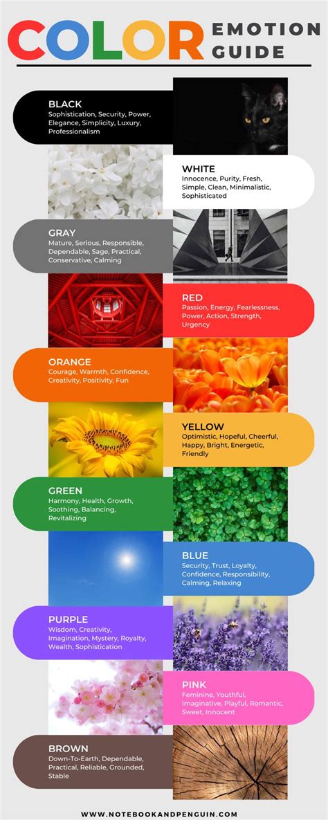 Colors Emotion Guide Use Color To Express Yourself In 2024 Color