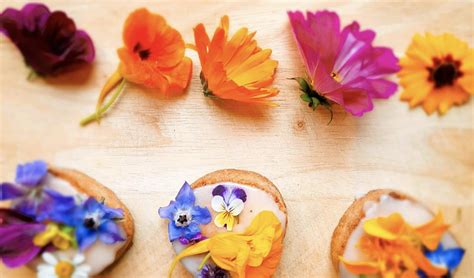 Workshop Koekjes Met Eetbare Bloemen Al Het Nieuws Uit Albrandswaard