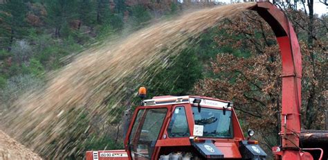 Eduforest Training And Qualification For Sustainable Forest