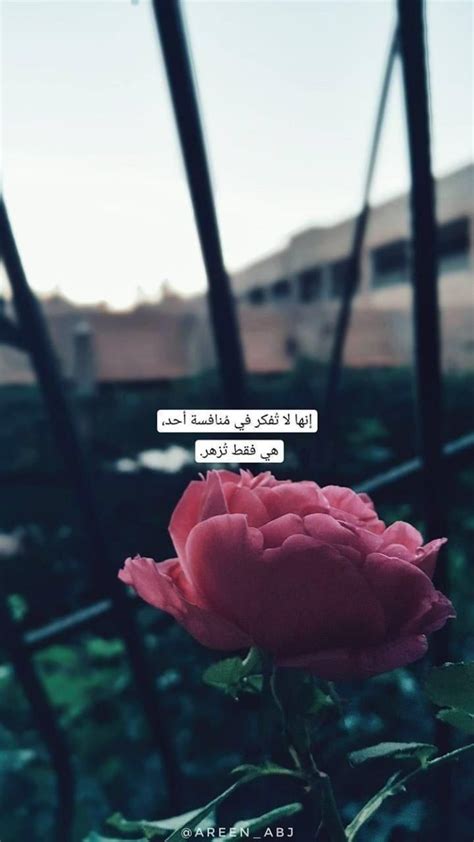 Apps Development Pinwire Pin By Zoz On صور Pinterest Arabic Quotes Quotes And Islamic