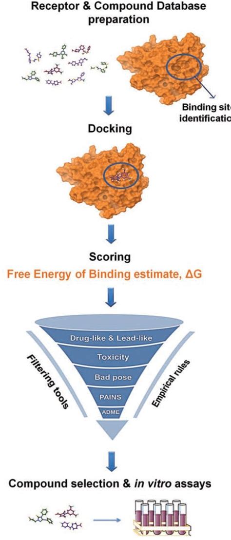 Structure Based Virtual Screening For Drug Discovery Principles