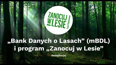 Bank Danych o Lasach mBDL i program Zanocuj w Lesie Jak korzystać