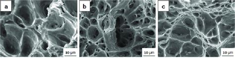 Sem Images Showing The Fracture Surfaces Of Specimens Under Different