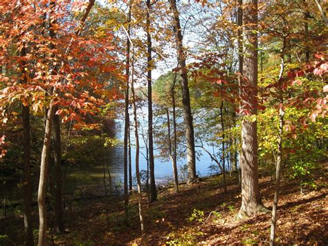 Visit Asheboro: 2020 Travel Guide for Asheboro, North Carolina | Expedia