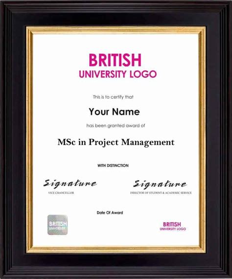 Msc In Project Management Months Aru Lsbr Uk