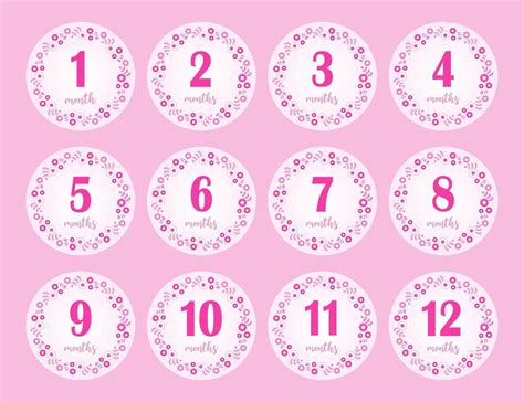 12 Months Stickers For The First Year Of The Baby Girl S Life Pink