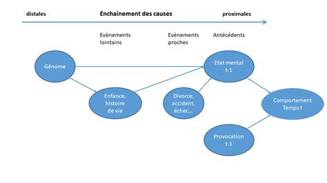 Quelles Causes Du Comportement Des L Ves Sont Les Plus Pertinentes