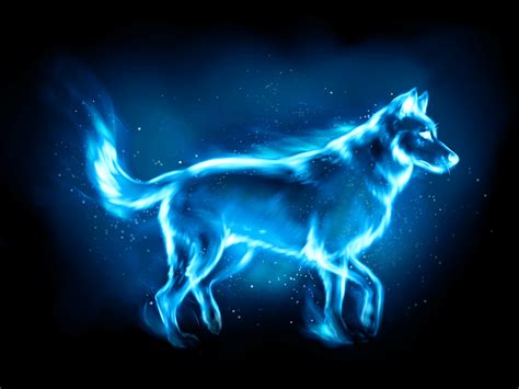 Patronus Fox Wallpapers on WallpaperDog