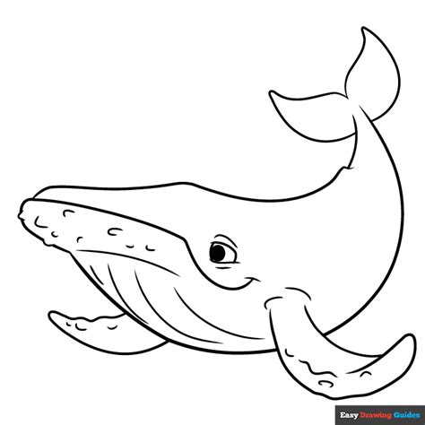 Humpback Whale Coloring Sheet