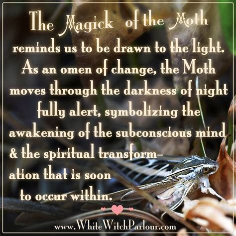 moth, symbolism, magick, transformation, witch, wisdom, animal, spirit ...