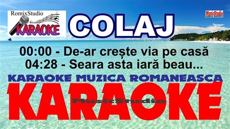 NEGATIV KARAOKE Colaj Muzica De Petrecere 2024 De Ar Creste Via Pe