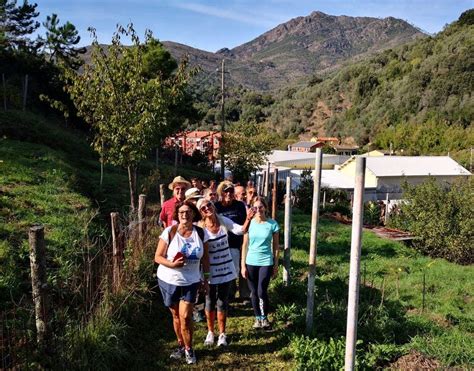 Levanto Domenica La Camminata Tra Gli Olivi Liguria Oggi